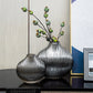 Silver Striped Glass Vase Flower Arrangement Hydroponic Accessories